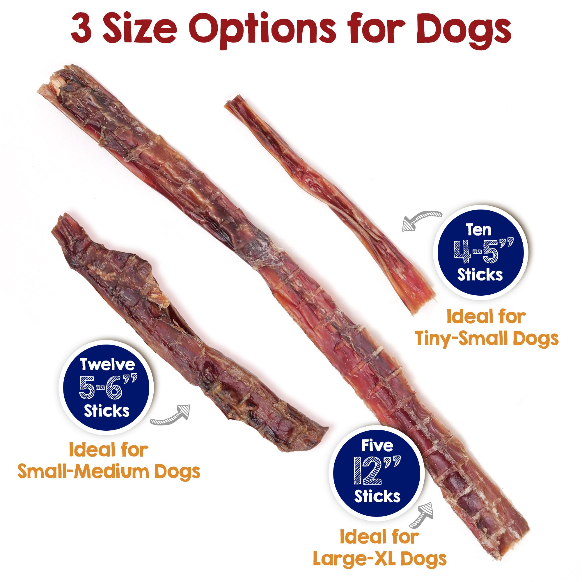 4-SteerStx-sizes.jpg