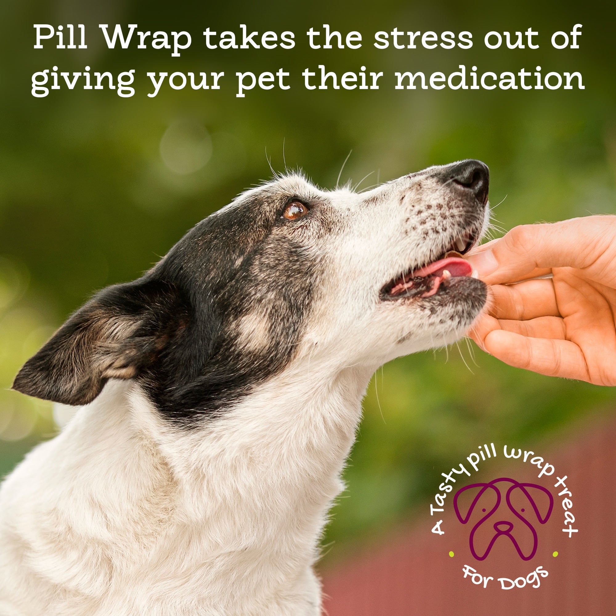 4-generic-pillwrap.jpg